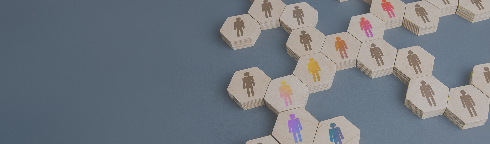 Diversity, Equity + Inclusion